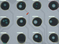 Figure 1. This screen capture shows the automated void calculation, the first number is ball diameter, the second total percentage of voids, the third gives the largest single void